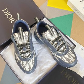 Dior B22 series dad shoes
