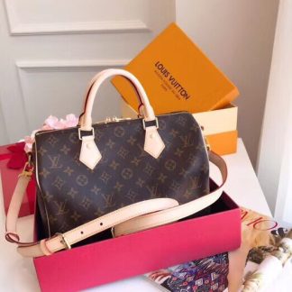Louis Vuitton Speedy Handbag
