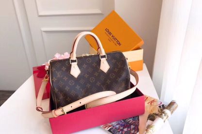 Louis Vuitton Speedy Handbag
