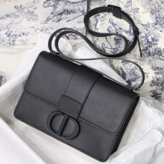 Dior 30 montaigne colorful buckle bag