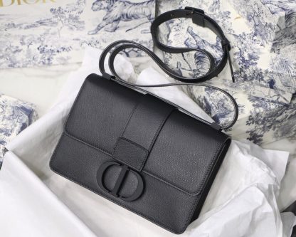 Dior 30 montaigne colorful buckle bag