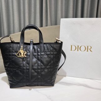 Dior Toujours Vertical Handbag