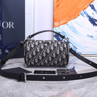 Dior pre-fall early spring series saddle bag