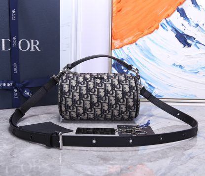 Dior pre-fall early spring series saddle bag