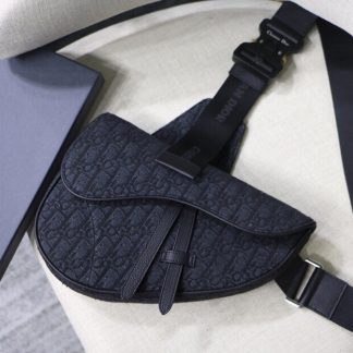 Dior Pre-Fall Early Spring Series Saddle Bag