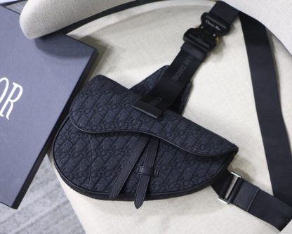 Dior Pre-Fall Early Spring Series Saddle Bag