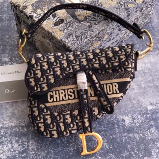 Dior Oblique Saddle Bag
