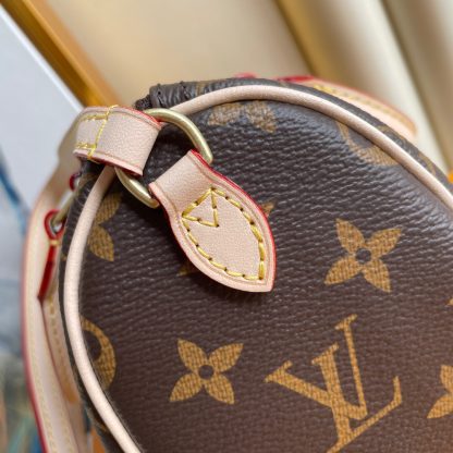 Louis Vuitton NANO SPEEDY Mini Pillow Bag - Image 6