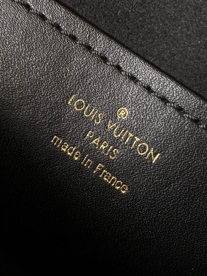 Louis Vuitton SAC TILSITT Fan Bag - Image 9