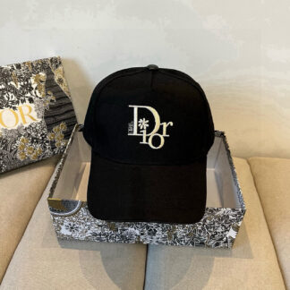 Dior embroidered simple baseball cap