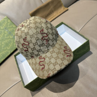 Gucci new baseball cap