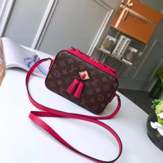 Louis Vuitton SAINTONGE Handbag