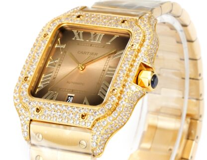 Cartier Santos series advanced mechanical watches