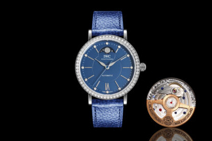 IWC Long Kinetic Moon Phase Expert Series