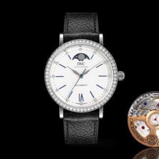 IWC Long Kinetic Moon Phase Expert Series