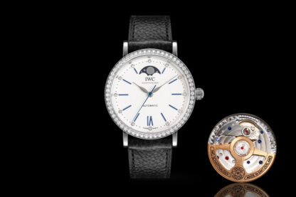 IWC Long Kinetic Moon Phase Expert Series