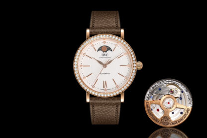 IWC Long Kinetic Moon Phase Expert Series