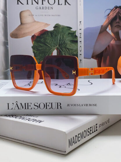 Hermès Fashion Sunglasses