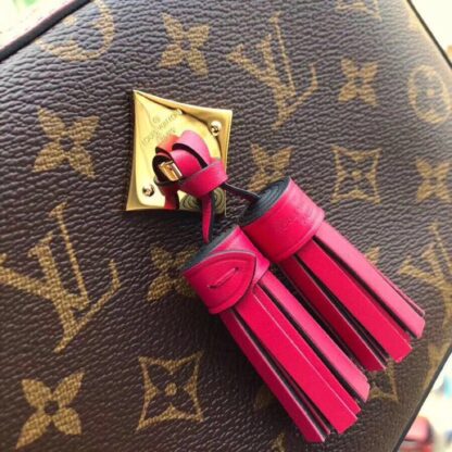 Louis Vuitton SAINTONGE Handbag - Image 4