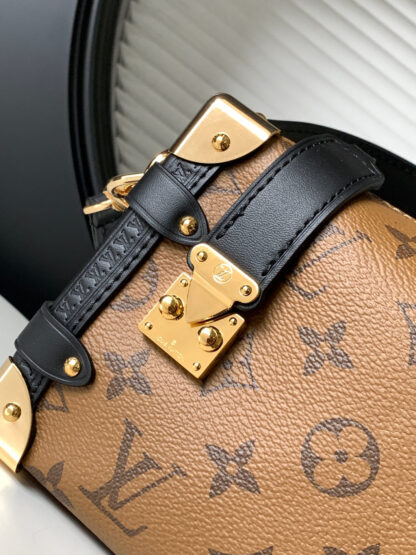 Louis Vuitton Early Spring Cruise Series Bag - Image 5