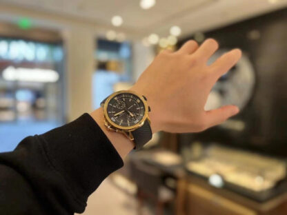 IWC Darwin Bronze Chronograph - Image 5