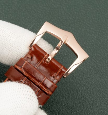 Patek Philippe Complex Multi-Function Series Watches - Image 6