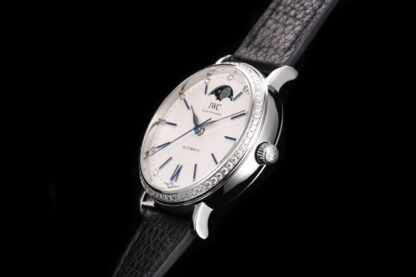 IWC Long Kinetic Moon Phase Expert Series - Image 7