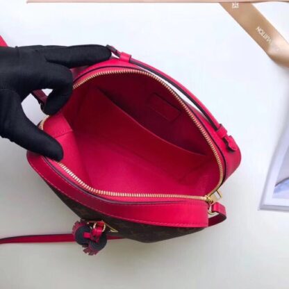 Louis Vuitton SAINTONGE Handbag - Image 7